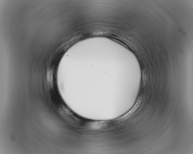 X0000113010094200909241401