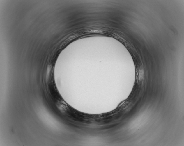 X0000113010095200909241401