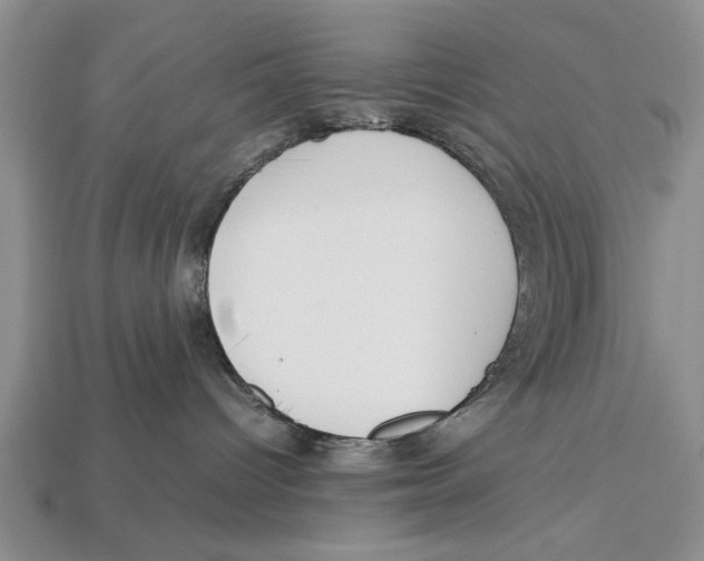 X0000113010096200909241401