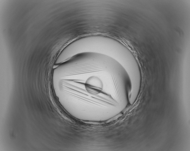 X0000113010097200909241401