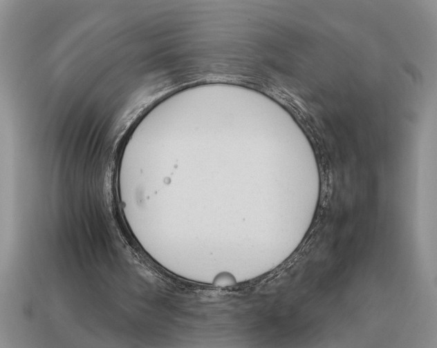 X0000113010098200909241401