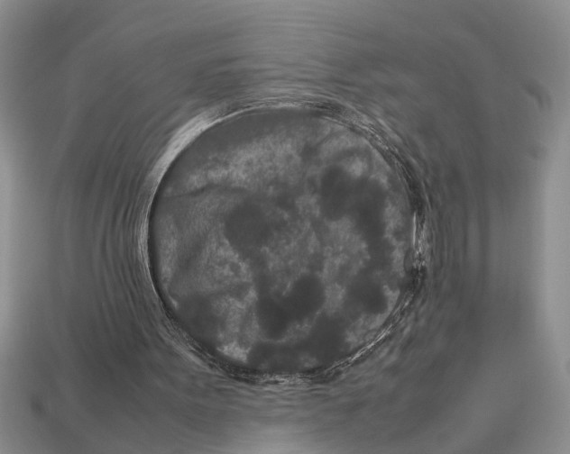 X0000113010099200909241401