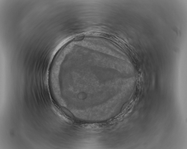 X0000113010100200909241401