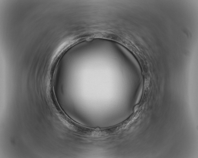 X0000113010101200909241400