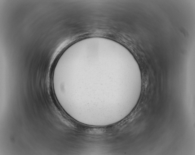X0000113010102200909241400