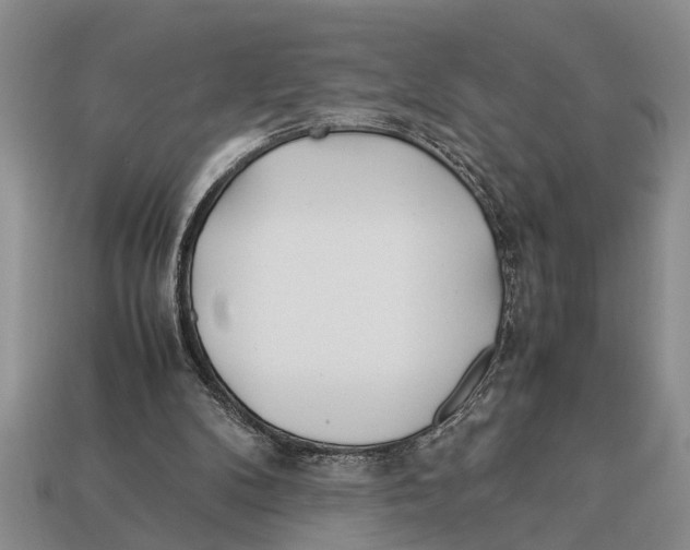 X0000113010104200909241400