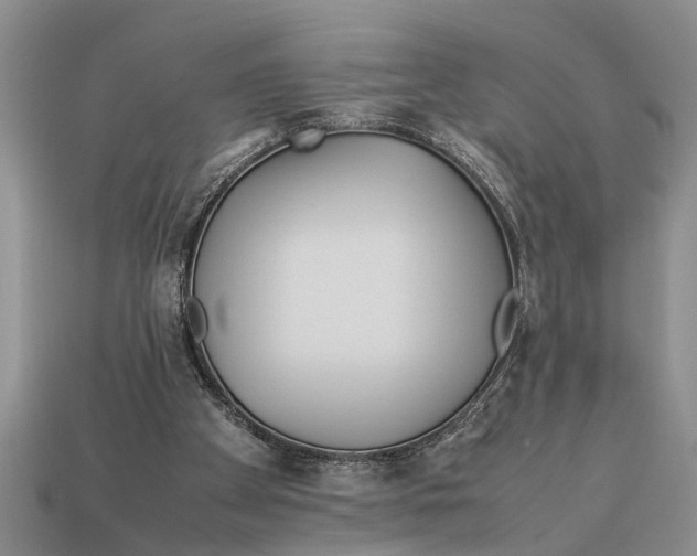X0000113010105200909241400