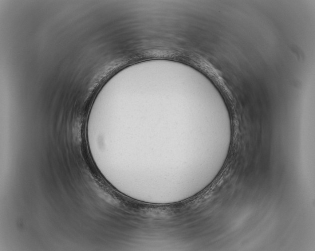 X0000113010106200909241400