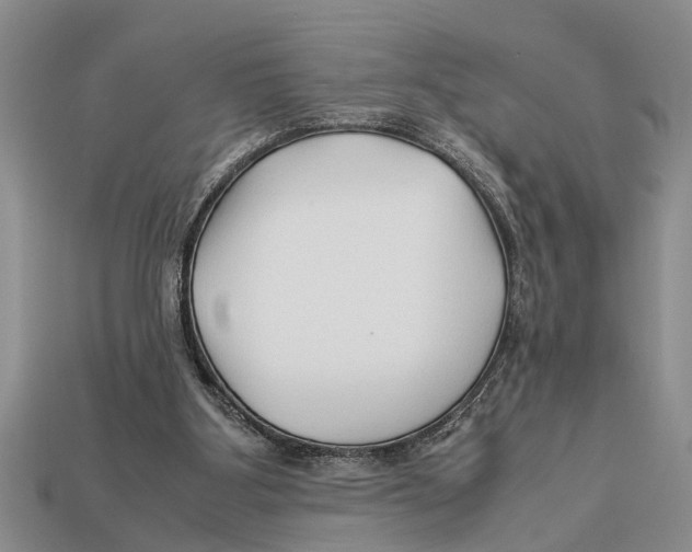 X0000113010107200909241400