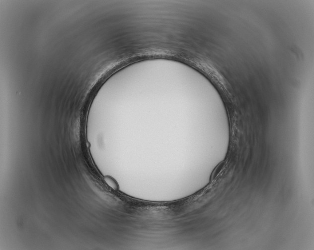 X0000113010108200909241400