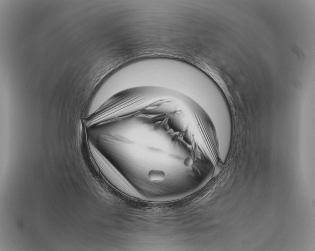 X0000113010109200909241400