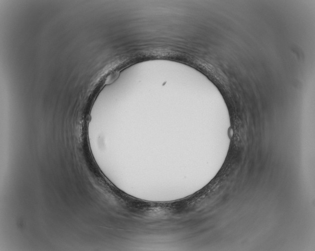 X0000113010111200909241400