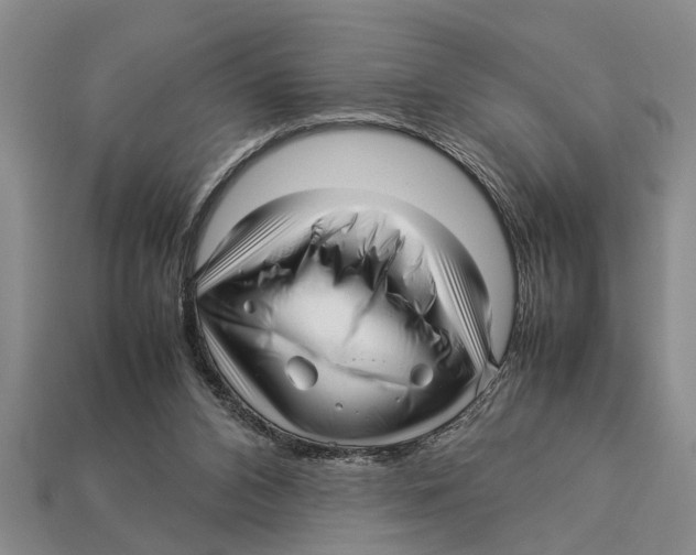 X0000113010112200909241400