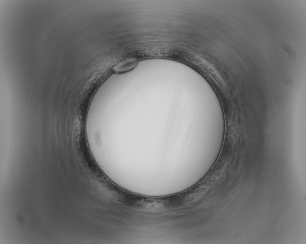 X0000113010113200909241400