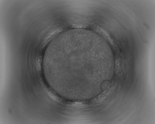 X0000113010114200909241400
