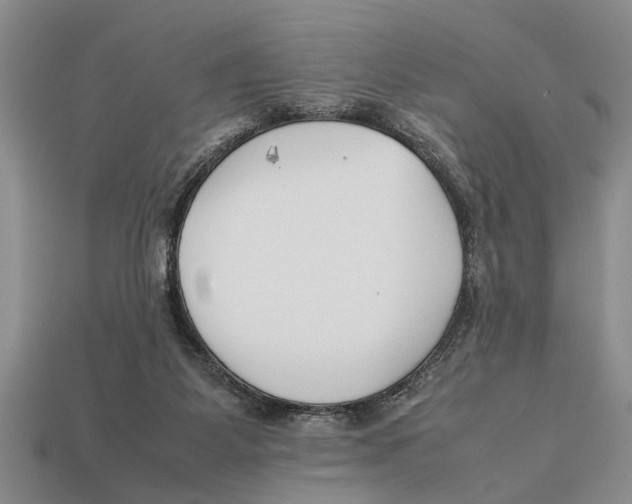 X0000113010115200909241400