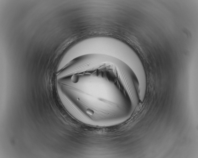 X0000113010116200909241400