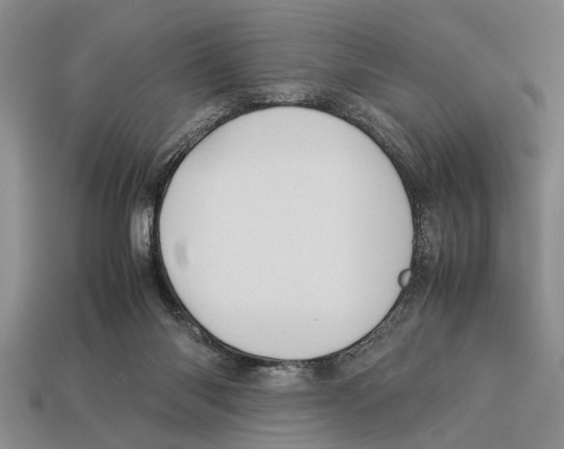 X0000113010118200909241400