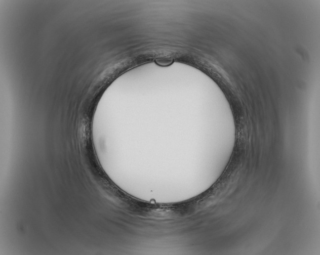 X0000113010119200909241400