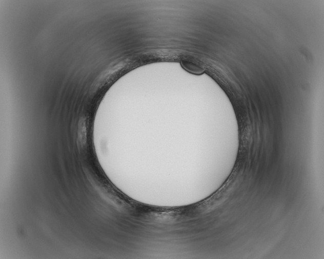 X0000113010120200909241400