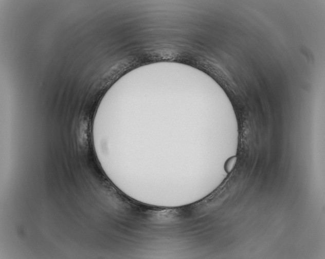 X0000113010122200909241400