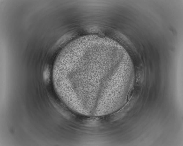 X0000113010124200909241400