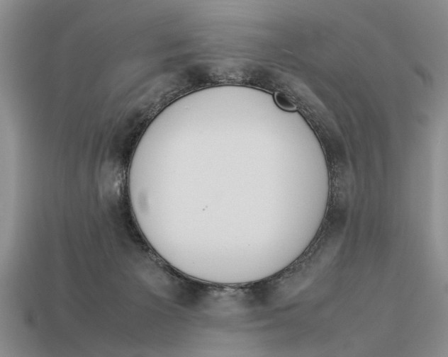 X0000113010125200909241400