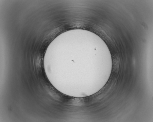 X0000113010126200909241400