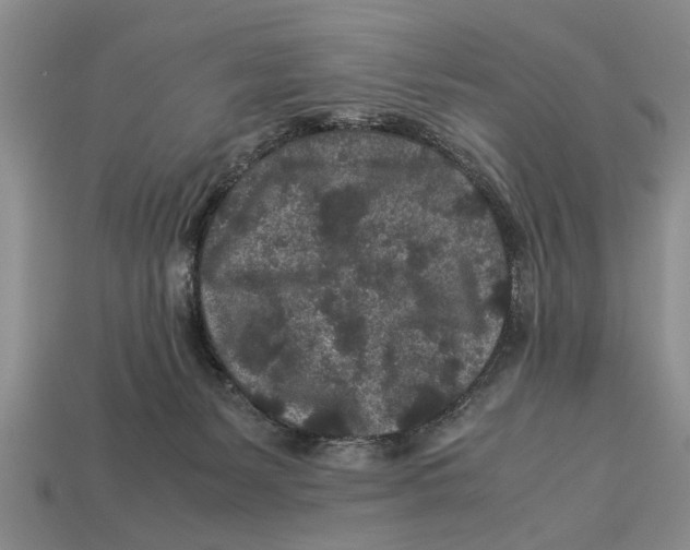 X0000113010127200909241400