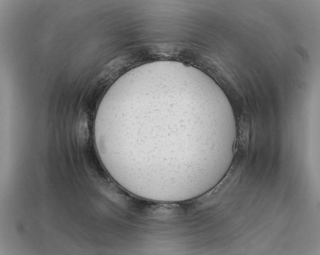 X0000113010128200909241400