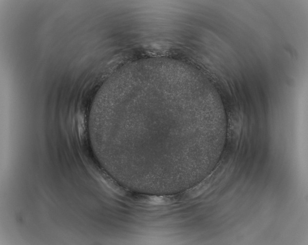 X0000113010130200909241400