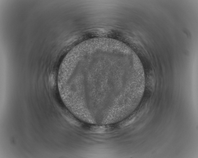 X0000113010131200909241400