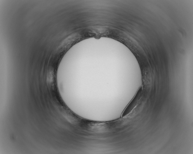 X0000113010132200909241400