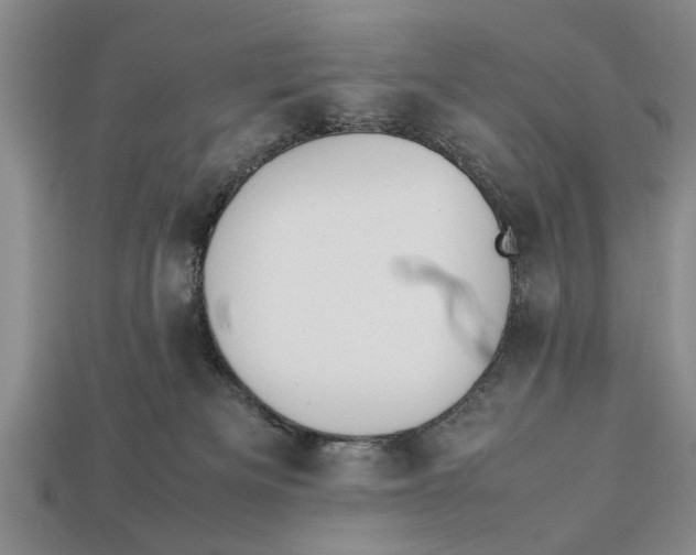 X0000113010133200909241400