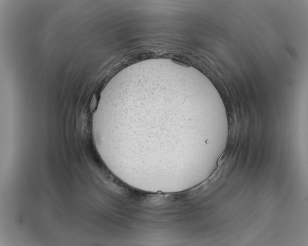 X0000113010136200909241400