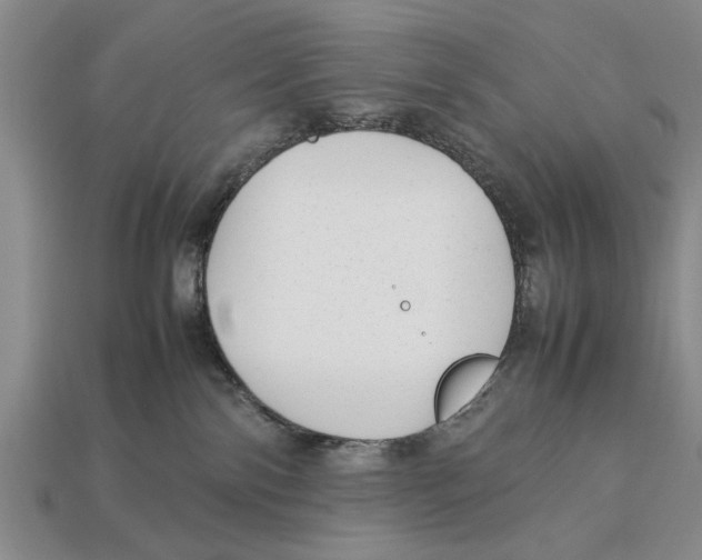 X0000113010138200909241400