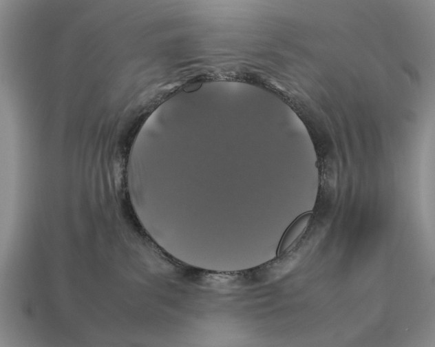 X0000113010139200909241400