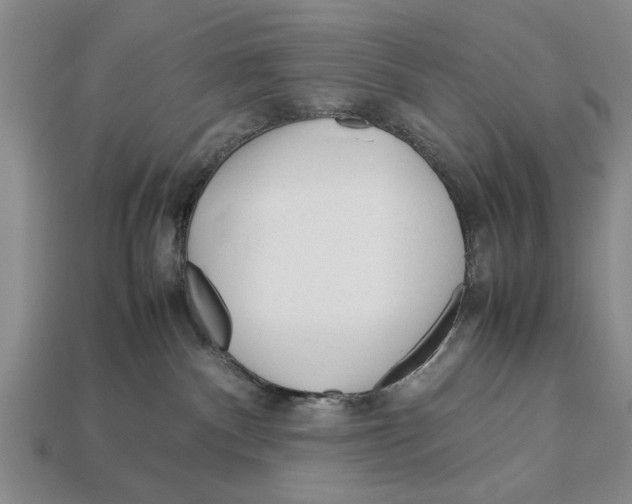 X0000113010140200909241400