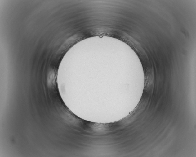 X0000113010142200909241400