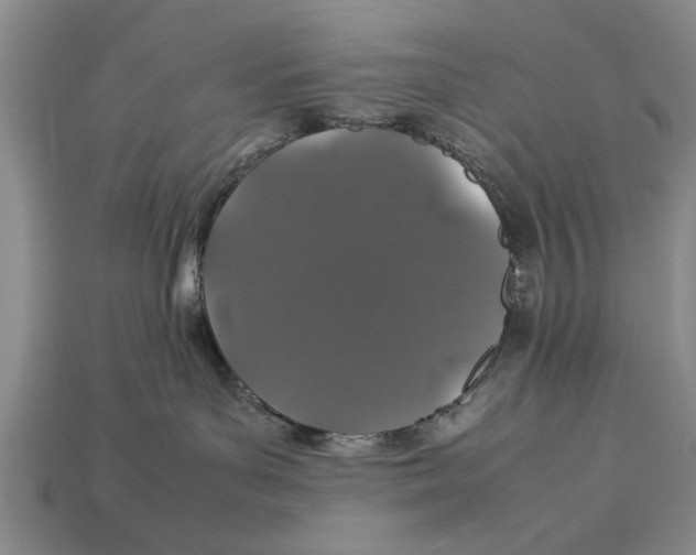 X0000113010143200909241400