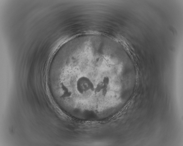 X0000113010145200909241359