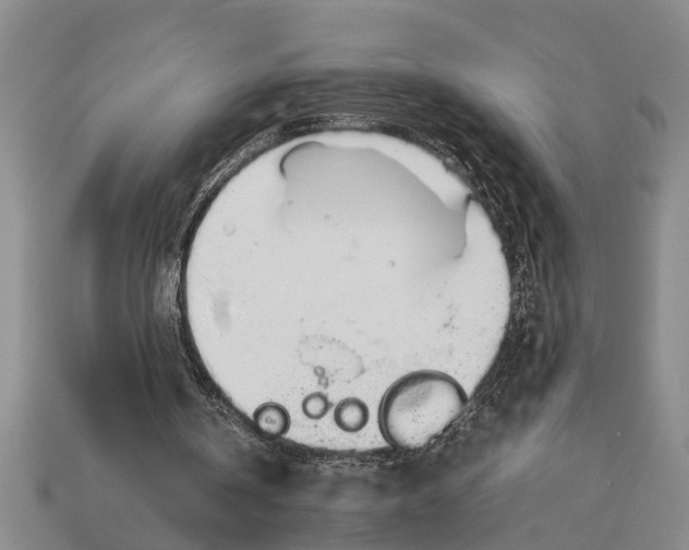 X0000113010146200909241359