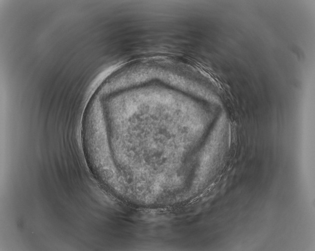 X0000113010147200909241359