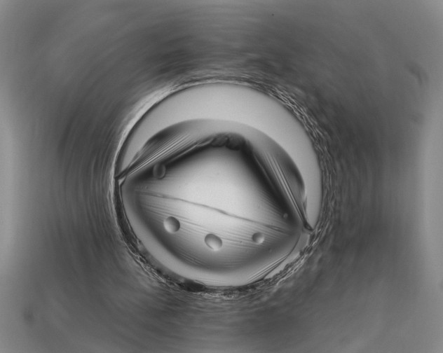 X0000113010148200909241359