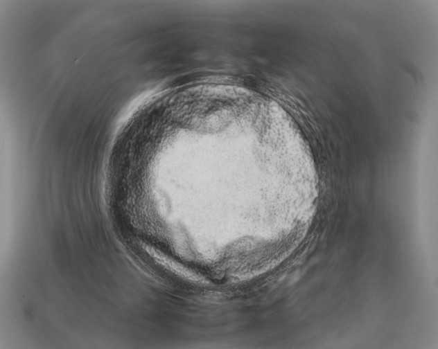 X0000113010149200909241359