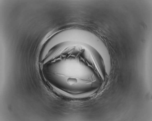 X0000113010150200909241359