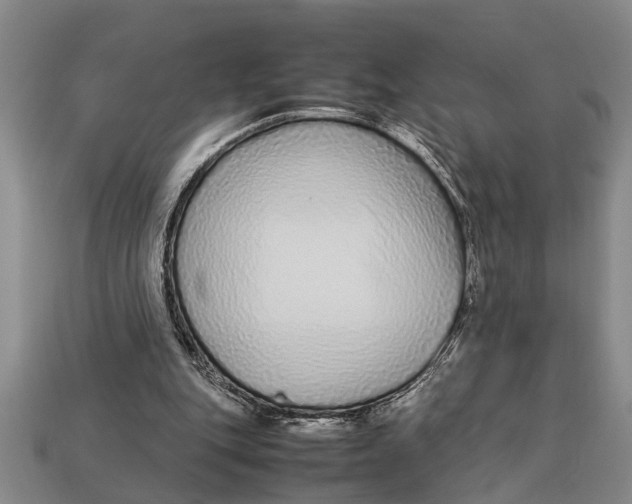 X0000113010151200909241359