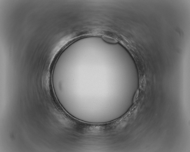 X0000113010152200909241359