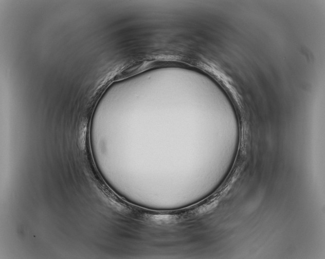 X0000113010153200909241359