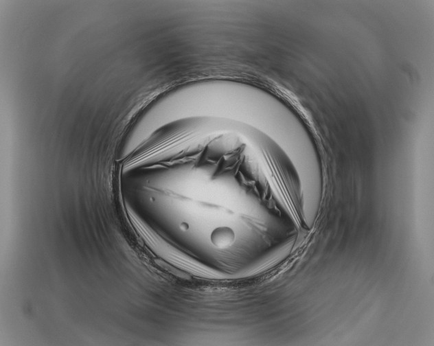 X0000113010154200909241359